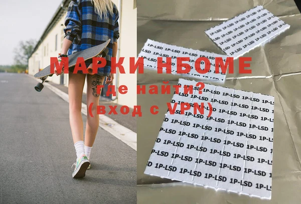 шишки Абаза