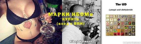 сатива Абинск