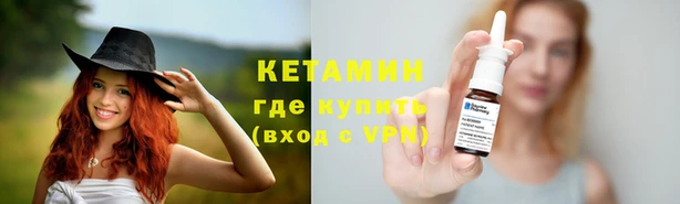 крисы Алексин