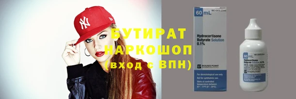 шишки Абаза