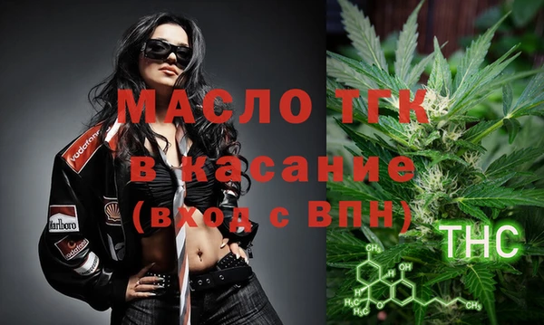 гашик Алексеевка