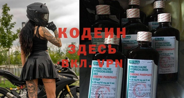 шишки Абаза