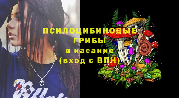 шишки Абаза