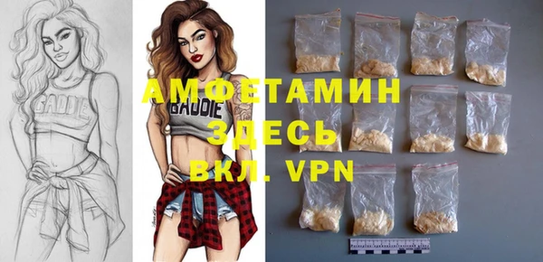шишки Абаза