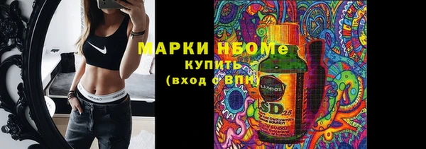 сатива Абинск