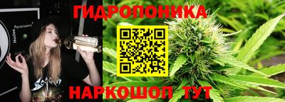 прущие крисы Пугачёв