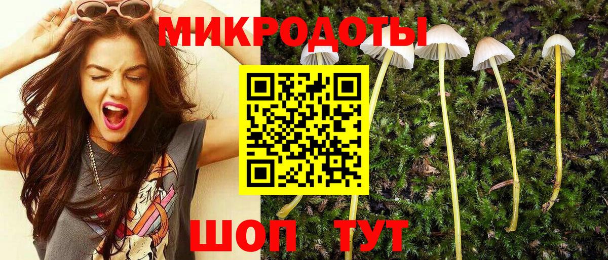 купить наркоту  Вход с VPN  Югорск  Псилоцибиновые грибы мицелий 